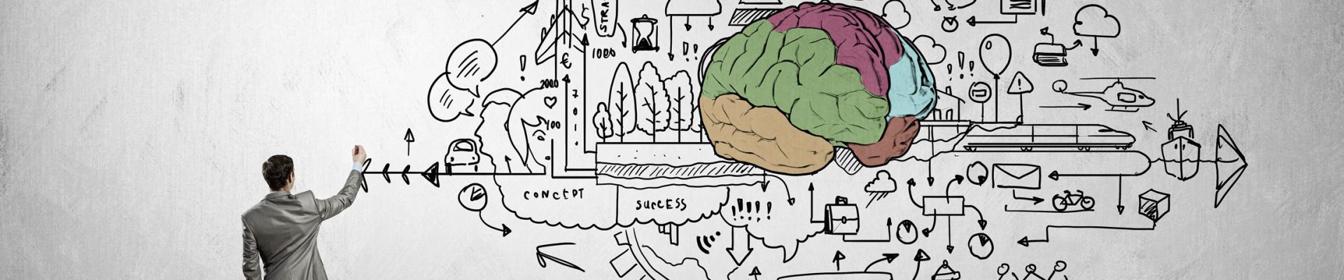 A neurociência aplicada ao desempenho acadêmico e profissional: cursos presenciais e on-line
